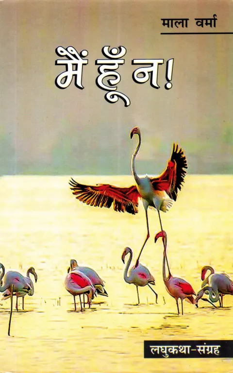 मैं हूँ न ! – पुस्तक का आवरण
